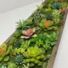 Succulent Wall Display: Lifelike Botanical Oasis