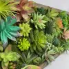 Succulent Wall Display: Lifelike Botanical Oasis - Image 2